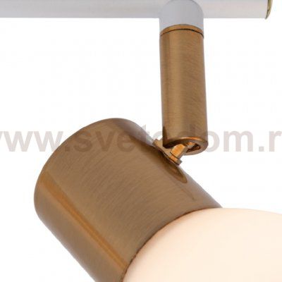 Светильник поворотный двойной Arte lamp A3117PL-2WH FALENA