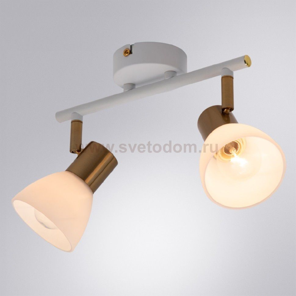 Светильник поворотный двойной Arte lamp A3117PL-2WH FALENA