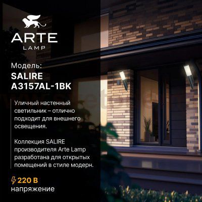 Уличный настенный светильник Arte Lamp A3157AL-1BK SALIRE