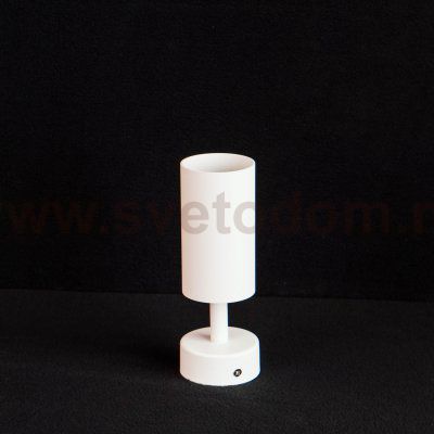 Светильник поворотный Arte Lamp A3216PL-1WH AQUARIUS