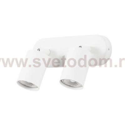 Светильник потолочный Arte lamp A3226PL-2WH AQUARIUS