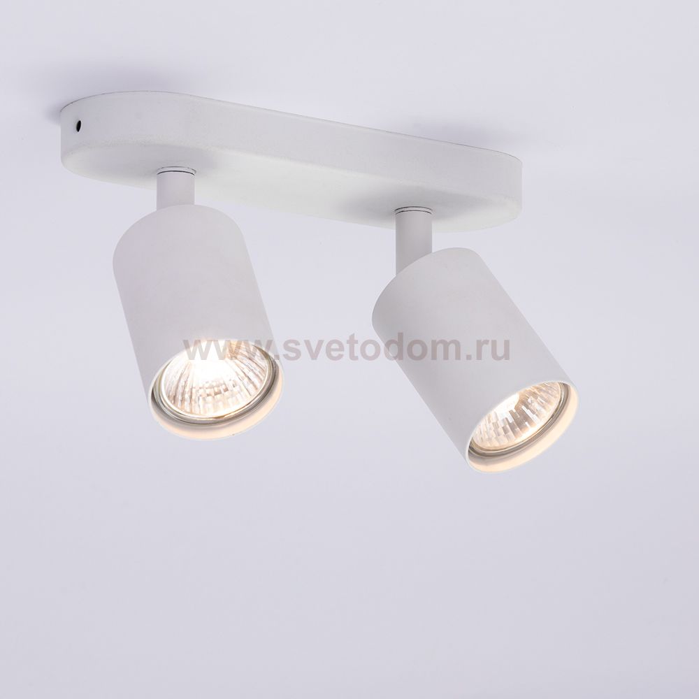 Светильник потолочный Arte lamp A3226PL-2WH AQUARIUS