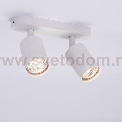 Светильник потолочный Arte lamp A3226PL-2WH AQUARIUS