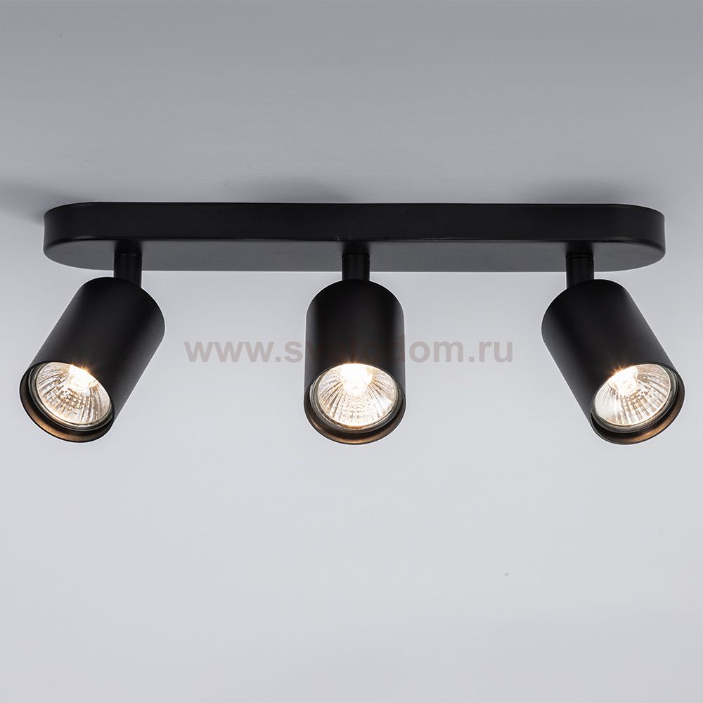 Светильник потолочный Arte lamp A3226PL-3BK AQUARIUS