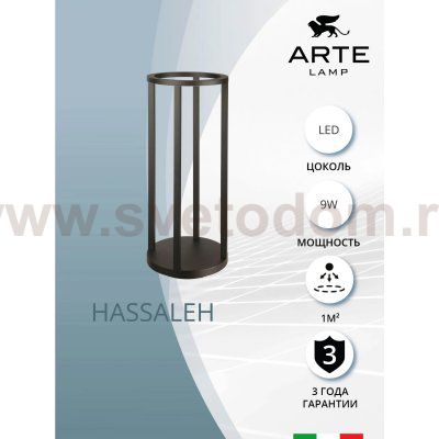 Уличный светильник Arte Lamp A3370PA-1BK HASSALEH