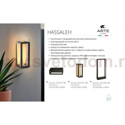 Уличный светильник Arte Lamp A3374AL-1BK HASSALEH