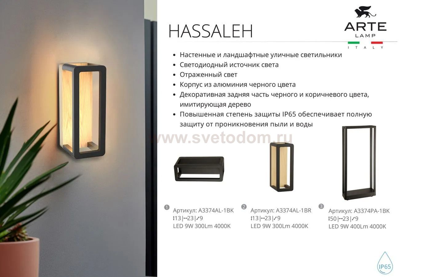 Уличный светильник Arte Lamp A3374PA-1BK HASSALEH