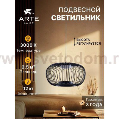 Светильник подвесной Arte Lamp A3527SP-12BK FLARE