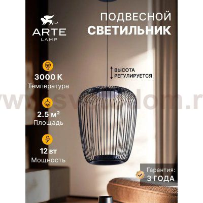 Светильник подвесной Arte Lamp A3528SP-12BK FLARE