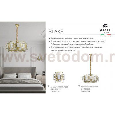 Светильник настенный Arte Lamp A4087AP-2SG BLAKE