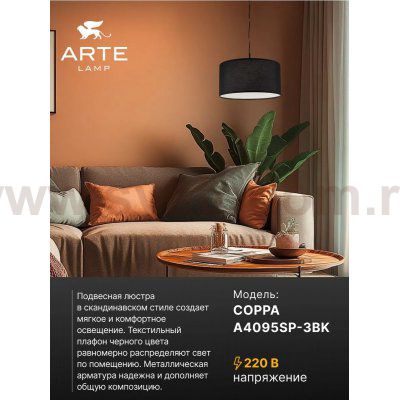 Светильник подвесной Arte Lamp A4095SP-3BK COPPA