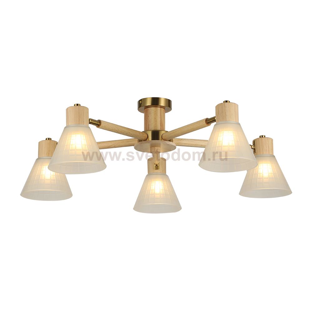 Светильник потолочный Arte Lamp A4096PL-5BR MELEPH