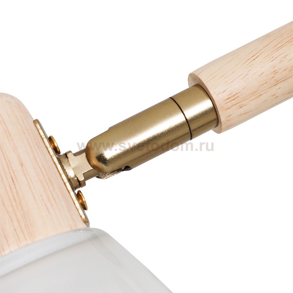 Светильник потолочный Arte Lamp A4096PL-5BR MELEPH