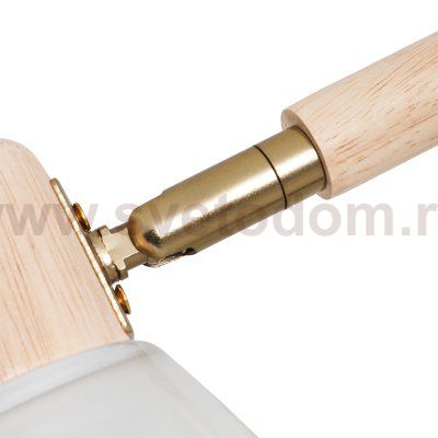 Светильник потолочный Arte Lamp A4096PL-5BR MELEPH