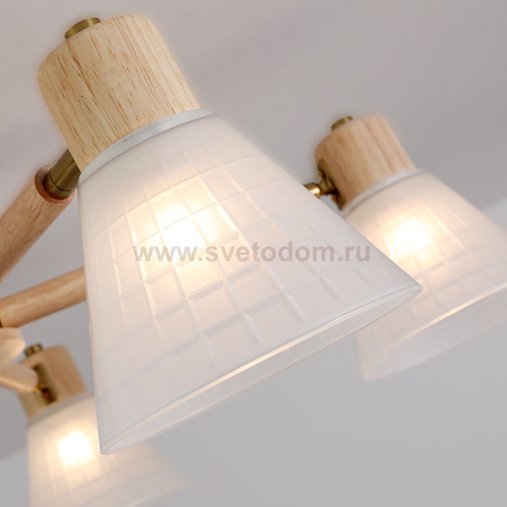 Светильник потолочный Arte Lamp A4096PL-5BR MELEPH
