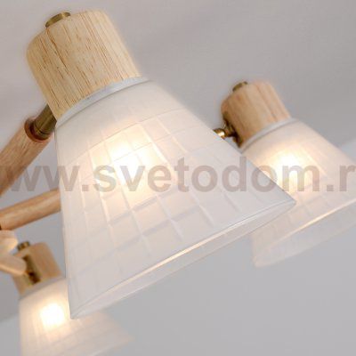 Светильник потолочный Arte Lamp A4096PL-5BR MELEPH