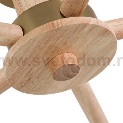 Светильник потолочный Arte Lamp A4096PL-5BR MELEPH