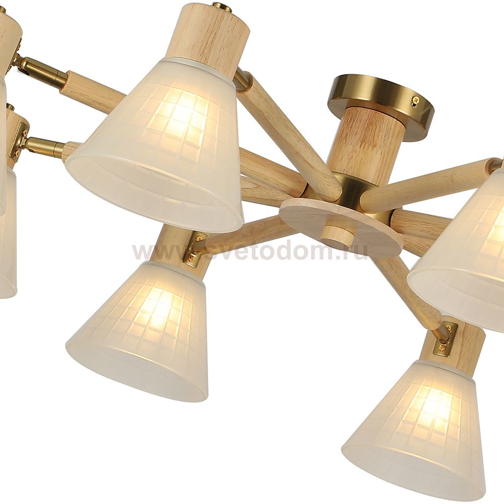 Светильник потолочный Arte Lamp A4096PL-8BR MELEPH