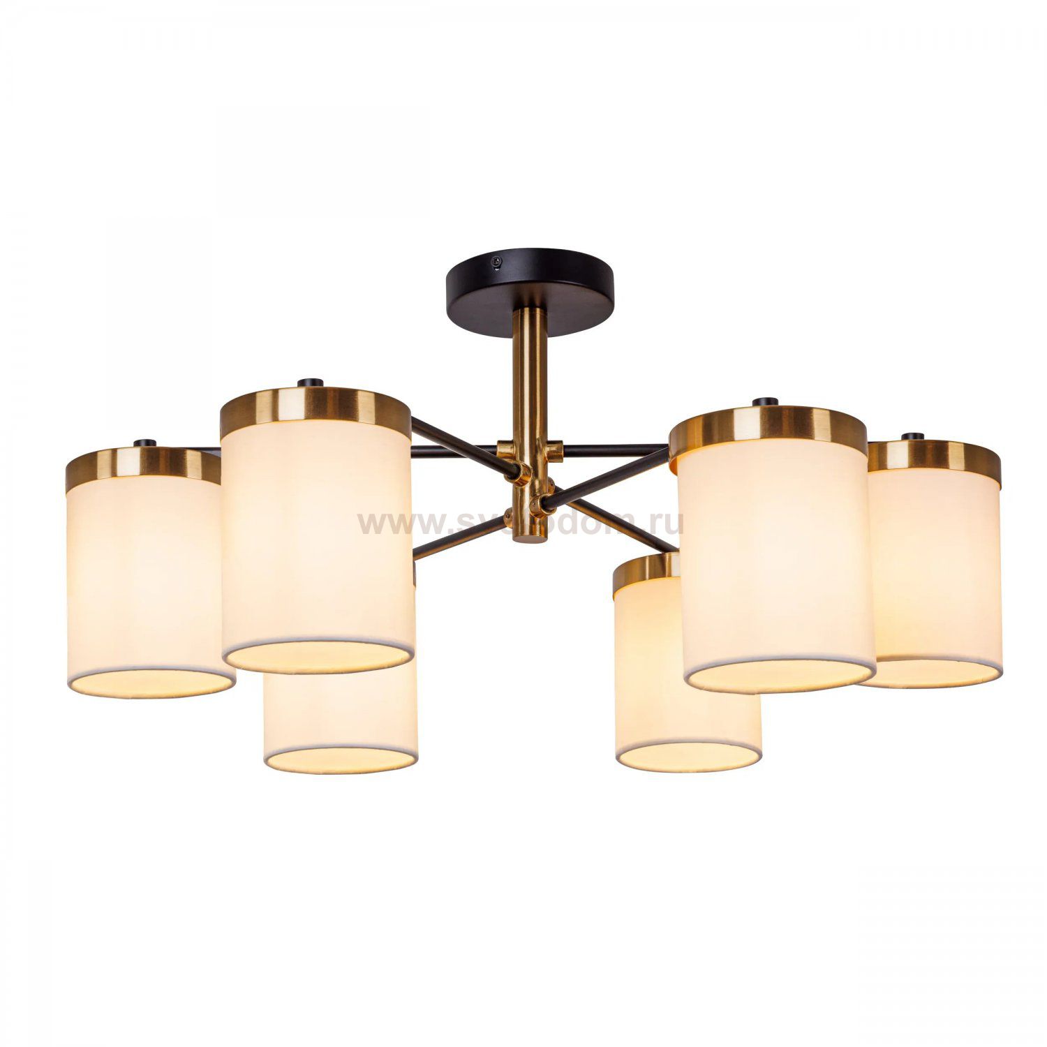 СВЕТИЛЬНИК ПОТОЛОЧНЫЙ Arte Lamp A4099PL-6BK MODELLO
