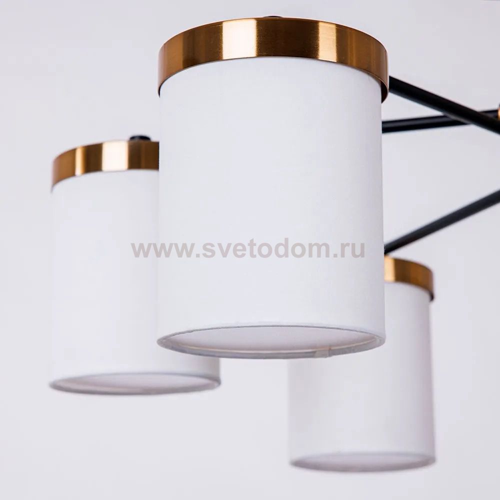 СВЕТИЛЬНИК ПОТОЛОЧНЫЙ Arte Lamp A4099PL-6BK MODELLO