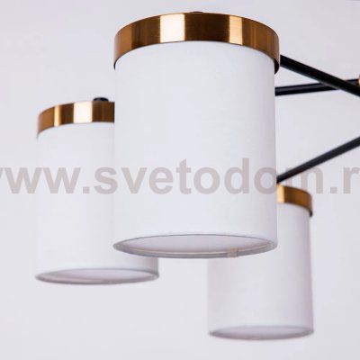 СВЕТИЛЬНИК ПОТОЛОЧНЫЙ Arte Lamp A4099PL-6BK MODELLO