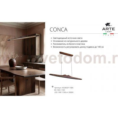 Светильник подвесной Arte Lamp A4286SP-19BK CONCA