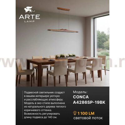 Светильник подвесной Arte Lamp A4286SP-19BK CONCA