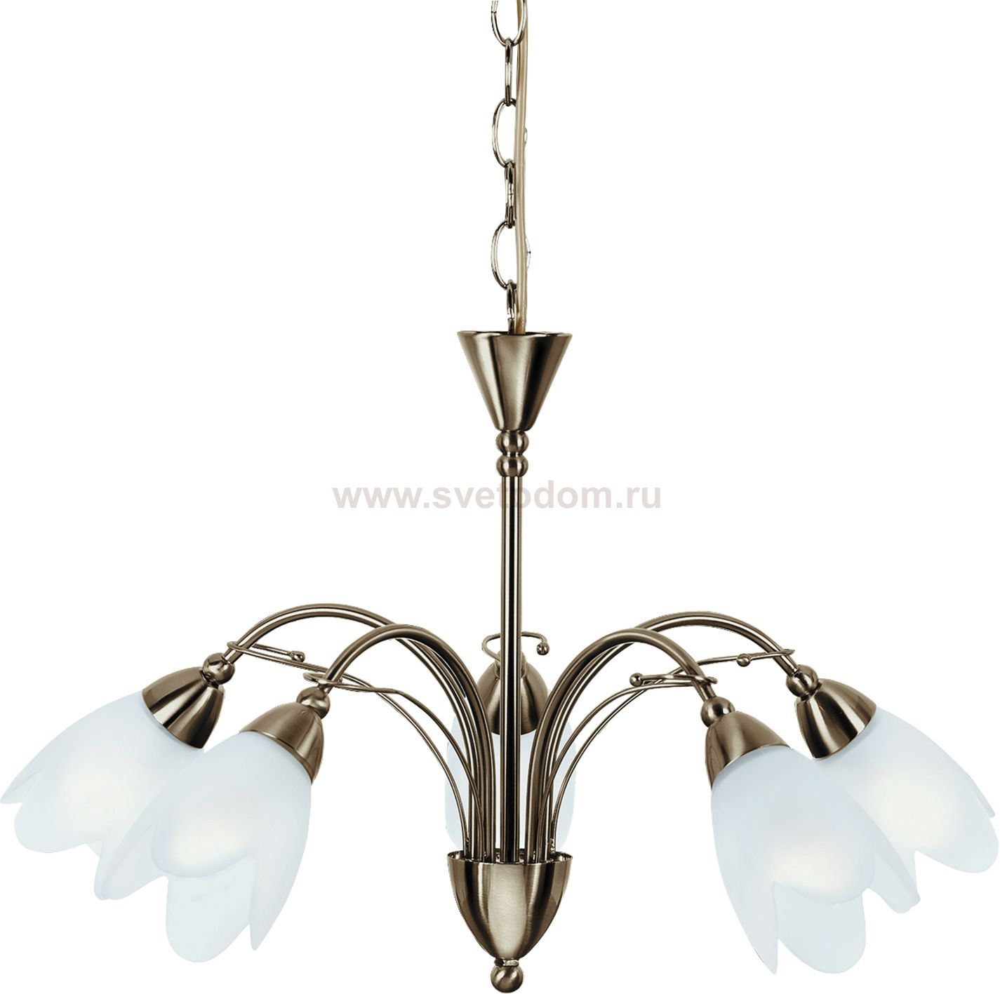 Светильник подвесной Arte lamp A4905LM-5AB PETAL