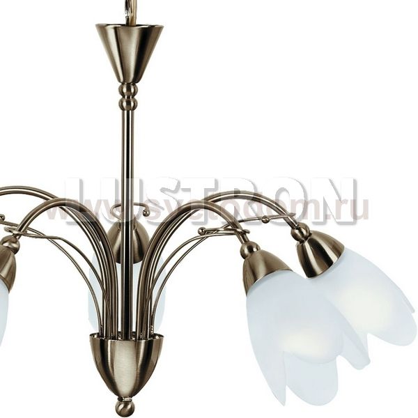 Светильник подвесной Arte lamp A4905LM-5AB PETAL