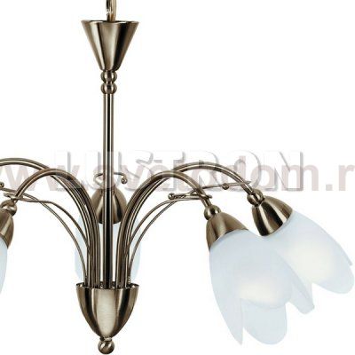Светильник подвесной Arte lamp A4905LM-5AB PETAL