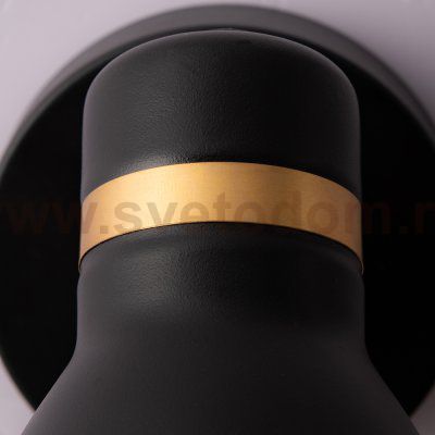 Спот с одним плафоном Arte lamp A5047AP-1BK FAFNIR