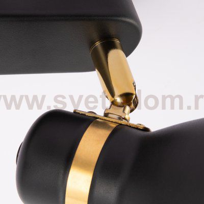 Светильник спот с двумя плафонами Arte lamp A5047PL-2BK FAFNIR