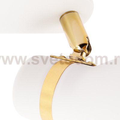 Светильник спот с двумя плафонами Arte lamp A5047PL-2WH FAFNIR