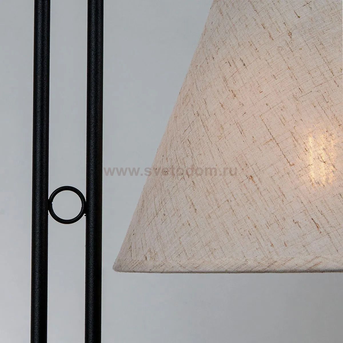 Торшер с абажуром Arte Lamp A5068PN-2BK ALEA