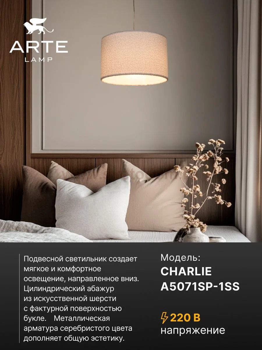 Arte lamp A5071SP-1SS CHARLIE