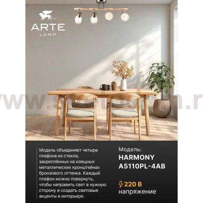 Накладной светильник спот Arte Lamp A5110PL-4AB HARMONY