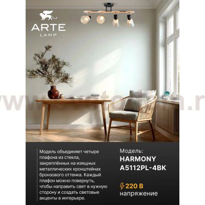 Накладной светильник спот Arte Lamp A5112PL-4BK HARMONY