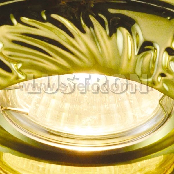 Светильник потолочный Arte lamp A5244PL-1GO ALLORO