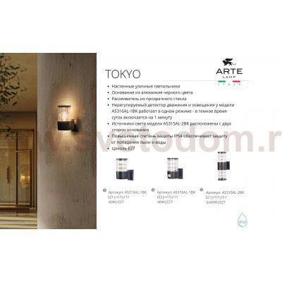Уличный светильник Arte Lamp A5315AL-1BK TOKYO