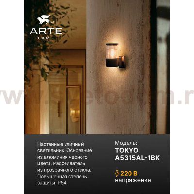 Уличный светильник Arte Lamp A5315AL-1BK TOKYO