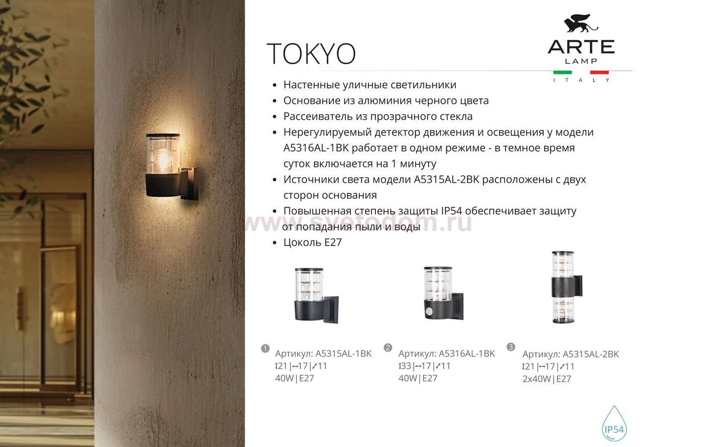 Уличный светильник Arte Lamp A5315AL-2BK TOKYO
