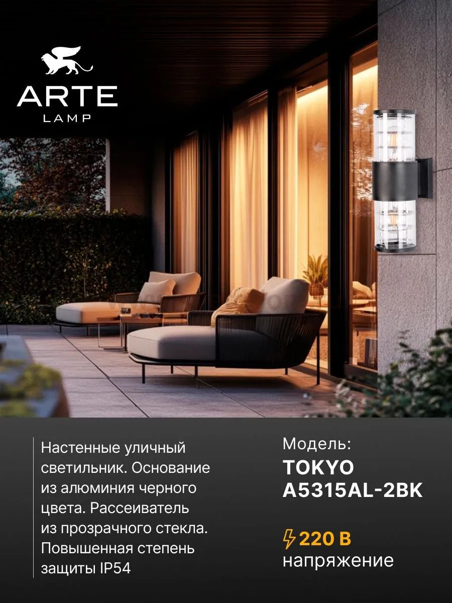 Уличный светильник Arte Lamp A5315AL-2BK TOKYO