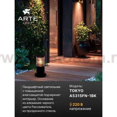 Уличный светильник Arte Lamp A5315FN-1BK TOKYO
