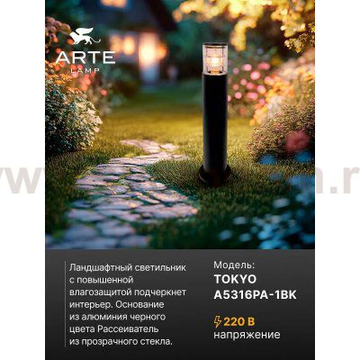 Уличный светильник Arte Lamp A5316PA-1BK TOKYO
