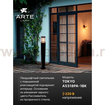 Уличный светильник Arte Lamp A5318PA-1BK TOKYO