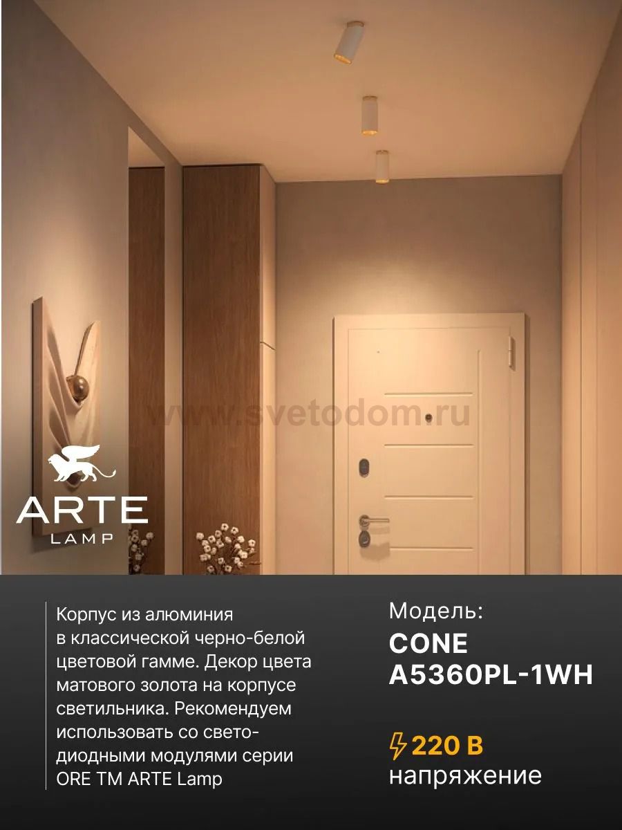 Точечный накладной светильник Arte Lamp A5360PL-1WH CONE CONE