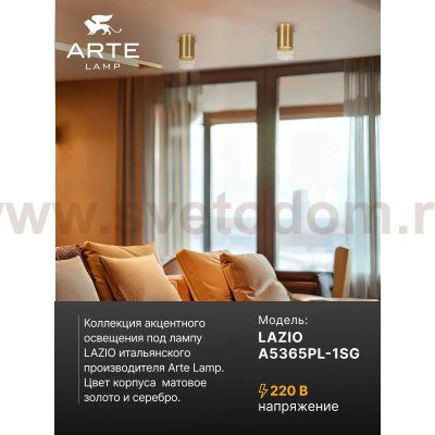 Точечный накладной светильник Arte Lamp A5365PL-1SG LAZIO LAZIO