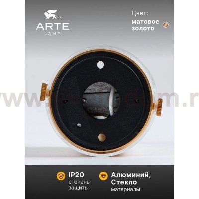 Точечный накладной светильник Arte Lamp A5365PL-1SG LAZIO LAZIO
