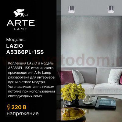 Точечный накладной светильник Arte Lamp A5366PL-1SS LAZIO LAZIO