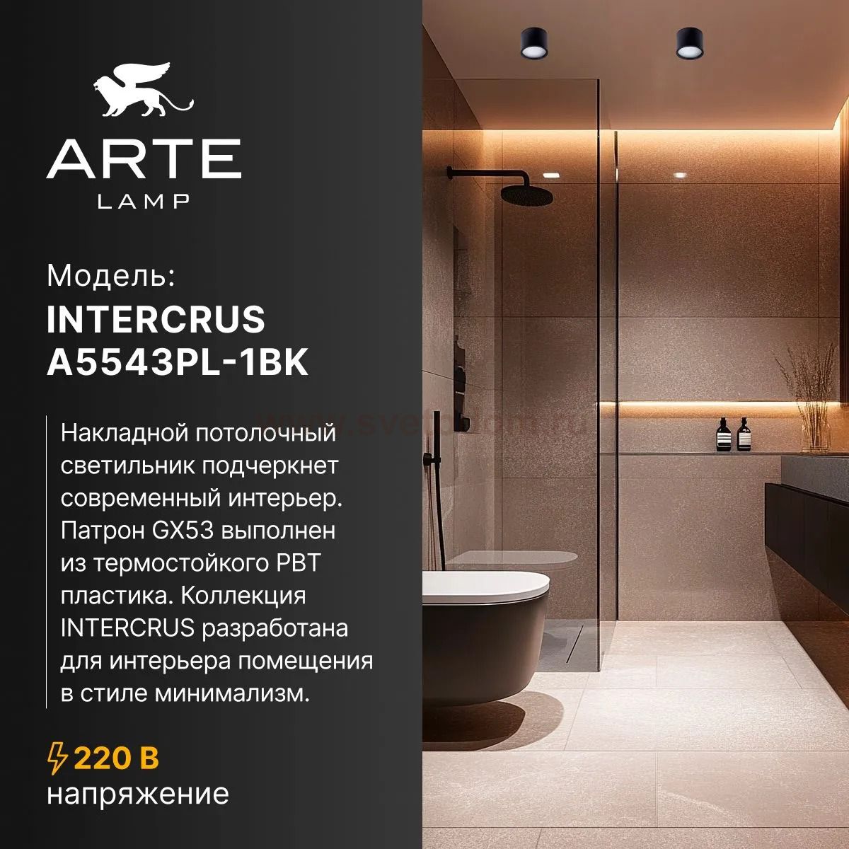 Светильники точечные накладные со сменной лампой Arte Lamp A5543PL-1BK INTERCRUS